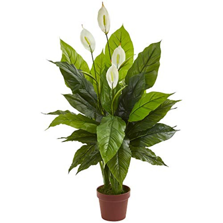 42in Artificial Peace Lily Pla - Peace Lily White 리뷰 및 가격